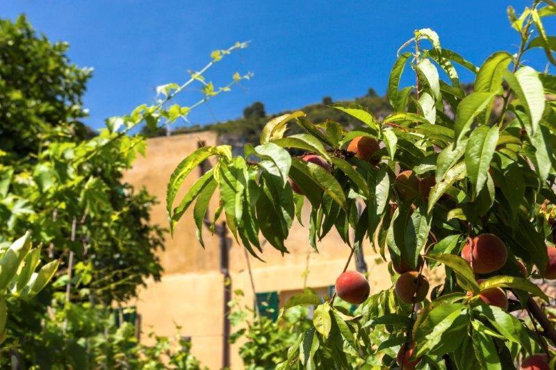 Agriturismo La Selva Hotel Finale Ligure Kültér fotó