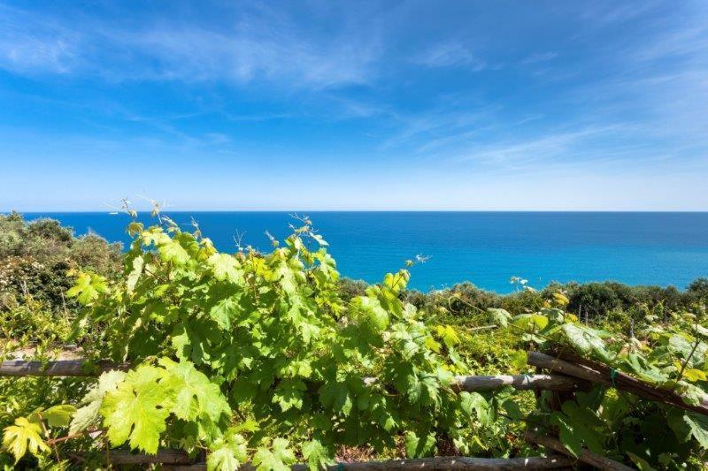 Agriturismo La Selva Hotel Finale Ligure Kültér fotó