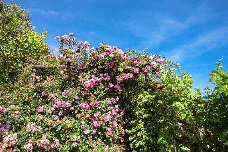 Agriturismo La Selva Hotel Finale Ligure Kültér fotó