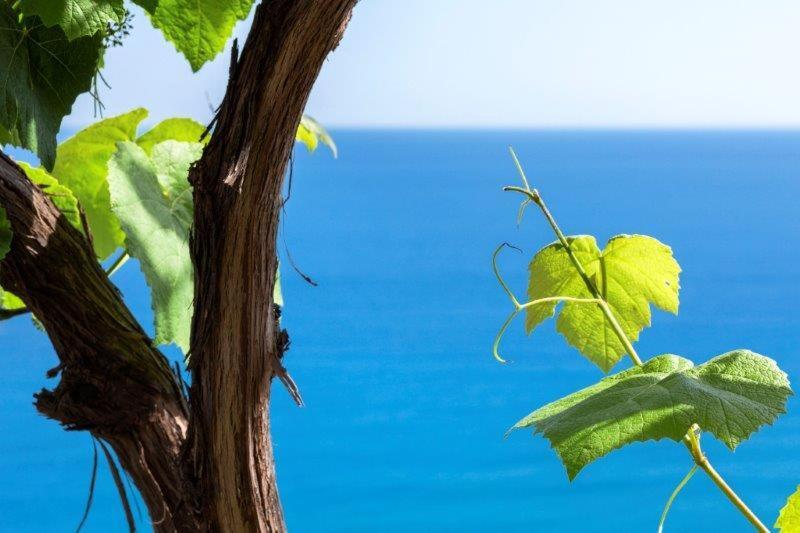 Agriturismo La Selva Hotel Finale Ligure Kültér fotó