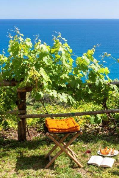 Agriturismo La Selva Hotel Finale Ligure Kültér fotó