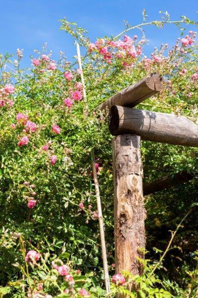 Agriturismo La Selva Hotel Finale Ligure Kültér fotó