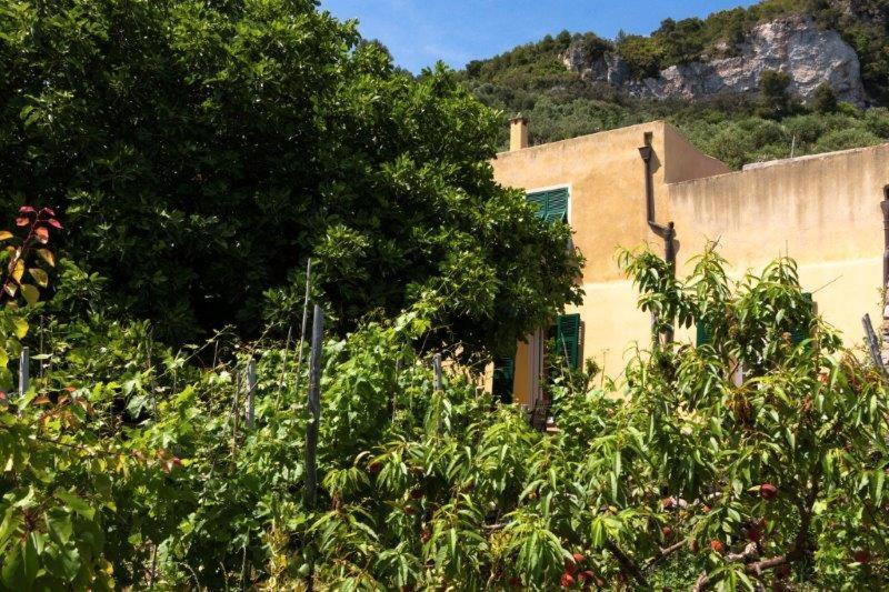Agriturismo La Selva Hotel Finale Ligure Kültér fotó