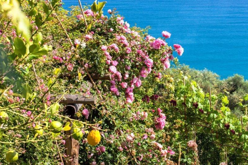 Agriturismo La Selva Hotel Finale Ligure Kültér fotó