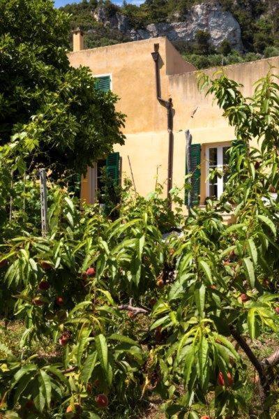 Agriturismo La Selva Hotel Finale Ligure Kültér fotó