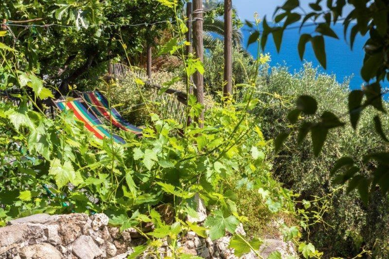 Agriturismo La Selva Hotel Finale Ligure Kültér fotó
