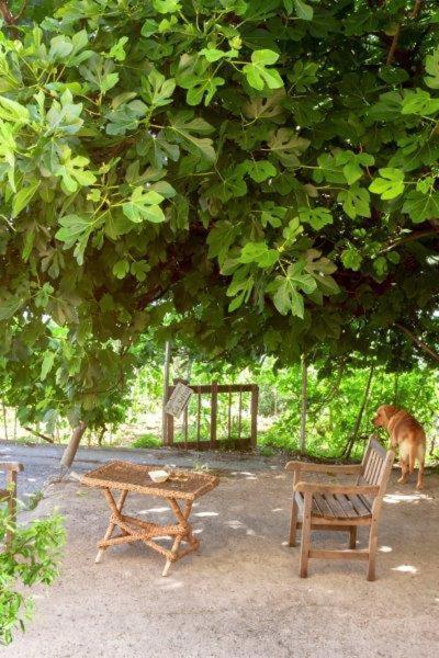 Agriturismo La Selva Hotel Finale Ligure Kültér fotó